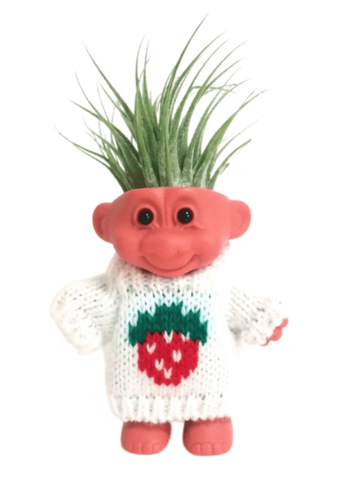 Troll Air Plant Holder